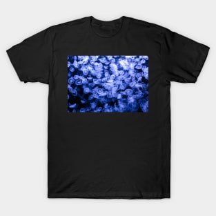 Group of jellyfish T-Shirt